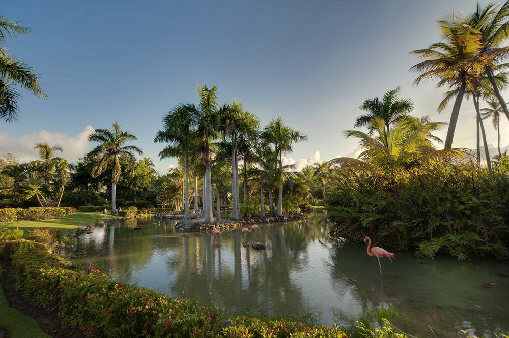 The Level At Melia Caribe Beach (Adults Only) Punta Cana Luaran gambar
