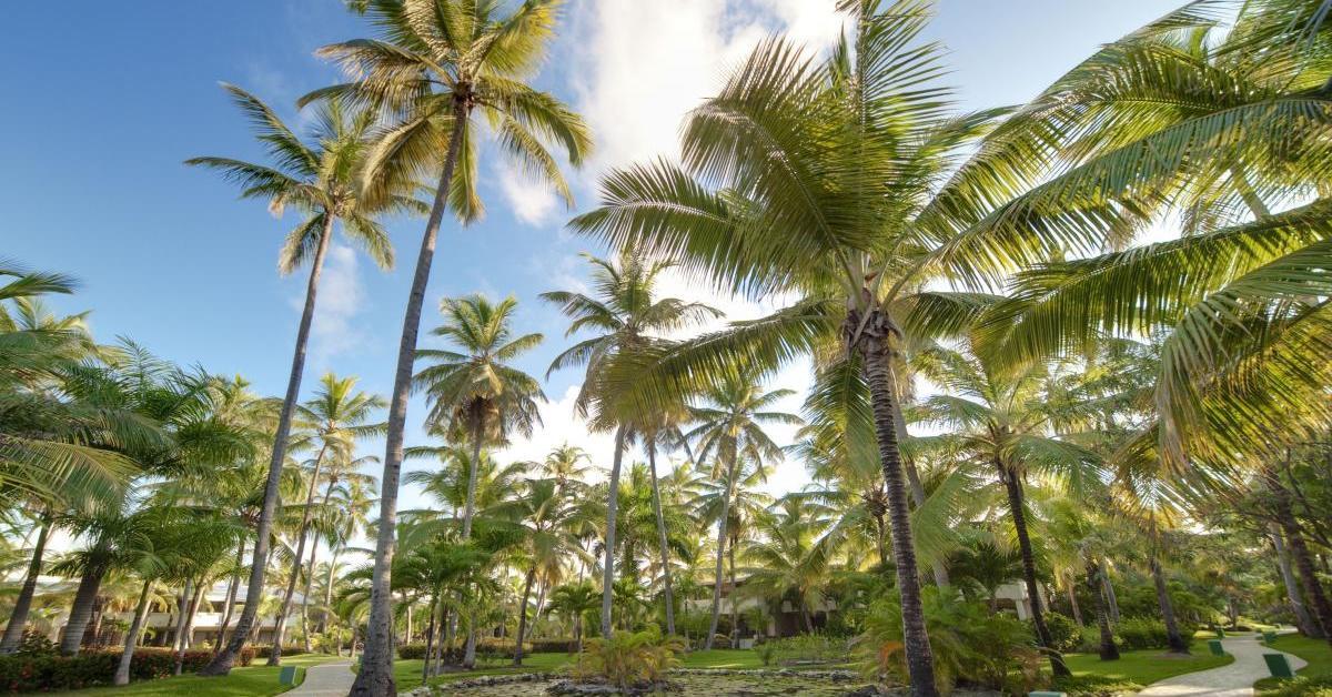 The Level At Melia Caribe Beach (Adults Only) Punta Cana Luaran gambar